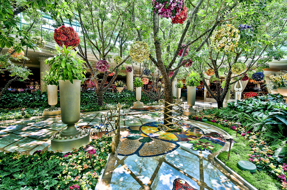 Flowers Of the Wynn