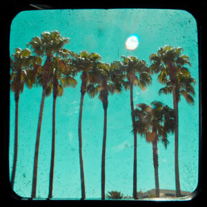 VegasPalms (1 of 1)
