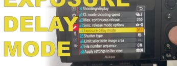 [ID: tGk5RJceBXQ] Youtube Automatic